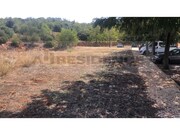 Terreno Urbano - Algoz, Silves, Faro (Algarve) - Miniatura: 2/9