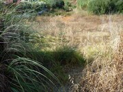 Terreno Urbano - Olhos de �gua, Albufeira, Faro (Algarve) - Miniatura: 5/9