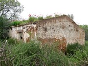 Terreno R�stico - S�o Bartolomeu de Messines, Silves, Faro (Algarve) - Miniatura: 2/2