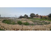 Quinta T3 - Algoz, Silves, Faro (Algarve) - Miniatura: 6/9