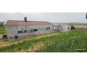 Quinta T3 - Algoz, Silves, Faro (Algarve) - Miniatura: 7/9