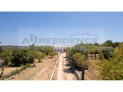 Terreno Urbano - Boliqueime, Loul�, Faro (Algarve) - Miniatura: 1/9