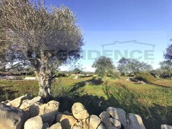 Terreno Rstico - Ferreiras, Albufeira, Faro (Algarve)