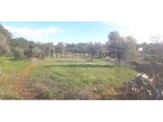 Terreno Rstico - Ferreiras, Albufeira, Faro (Algarve) - Miniatura: 5/6