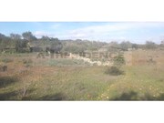 Terreno Rstico - Ferreiras, Albufeira, Faro (Algarve) - Miniatura: 6/6