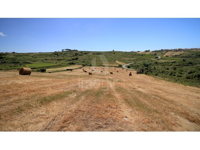 Terreno R�stico - S�o Jo�o das Lampas, Sintra, Lisboa - Imagem grande
