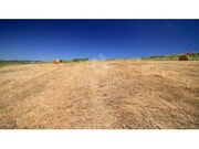 Terreno R�stico - S�o Jo�o das Lampas, Sintra, Lisboa - Miniatura: 2/2