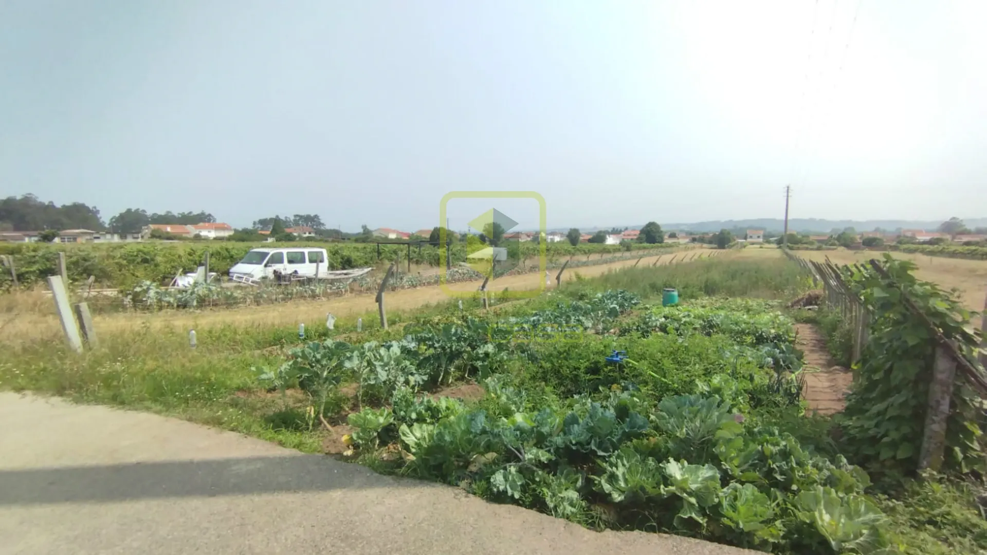 Terreno R�stico T0 - Esgueira, Aveiro, Aveiro