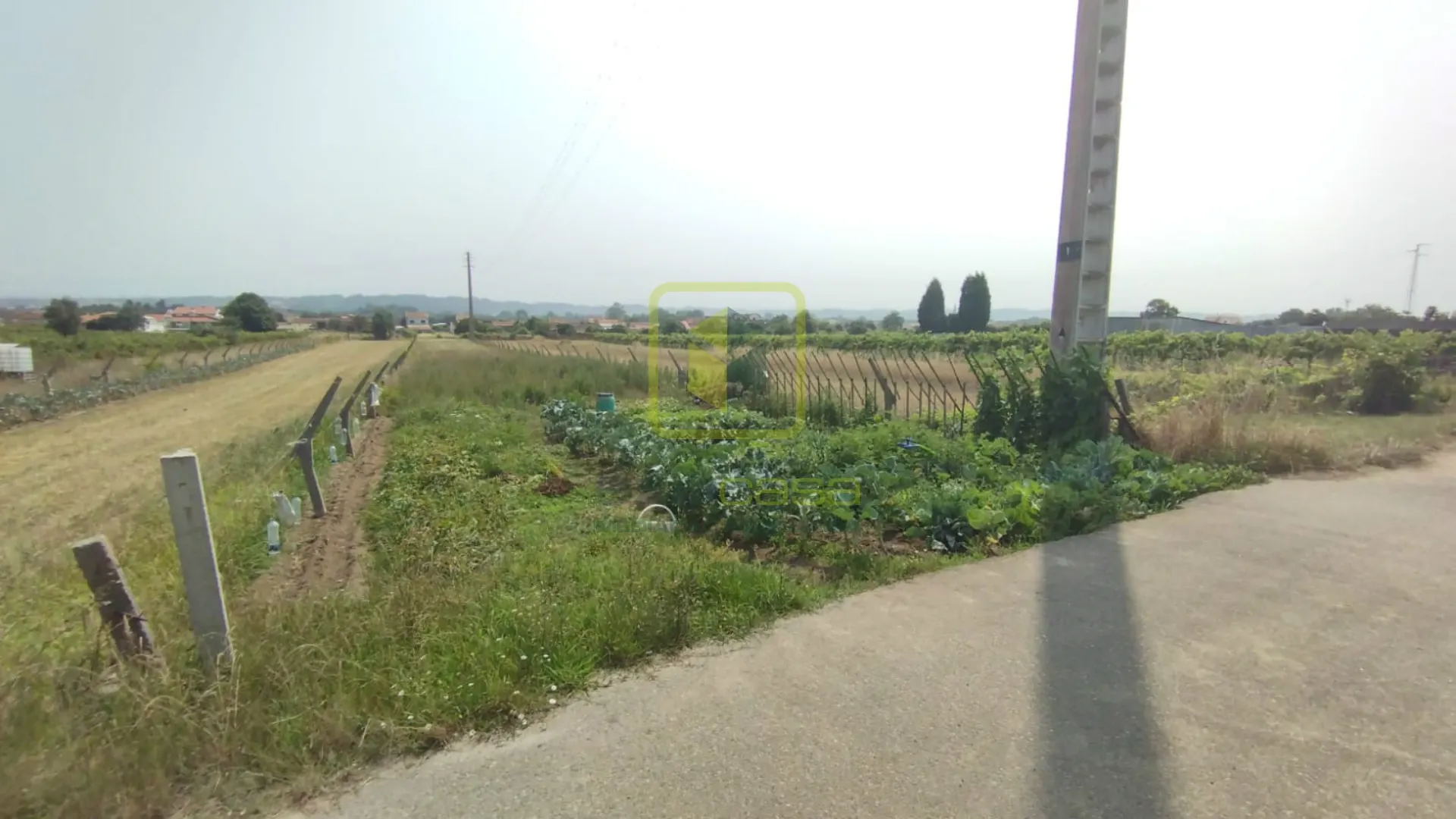Terreno R�stico T0 - Esgueira, Aveiro, Aveiro - Miniatura: 2/9