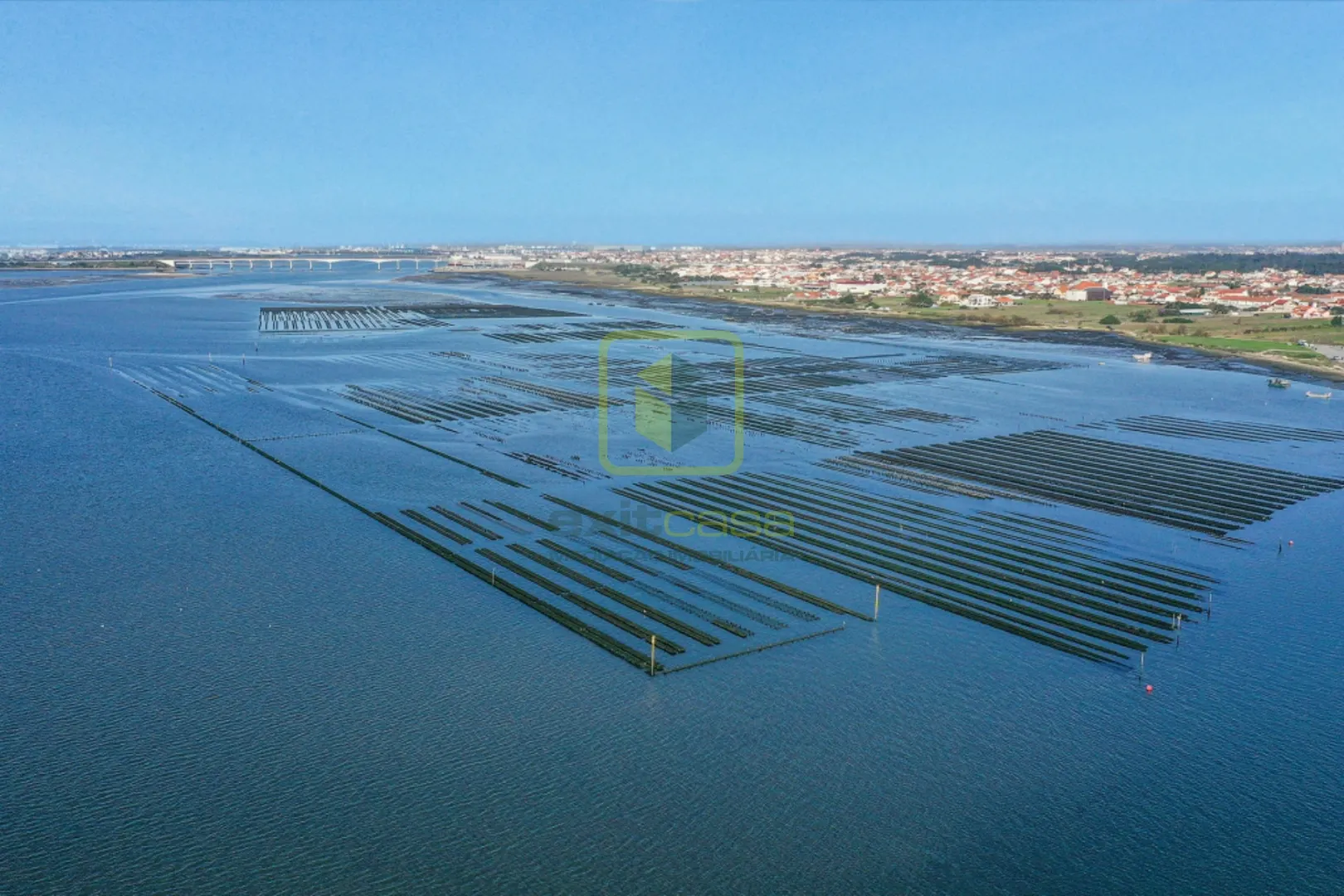 Terreno R�stico T0 - Esgueira, Aveiro, Aveiro - Miniatura: 9/9