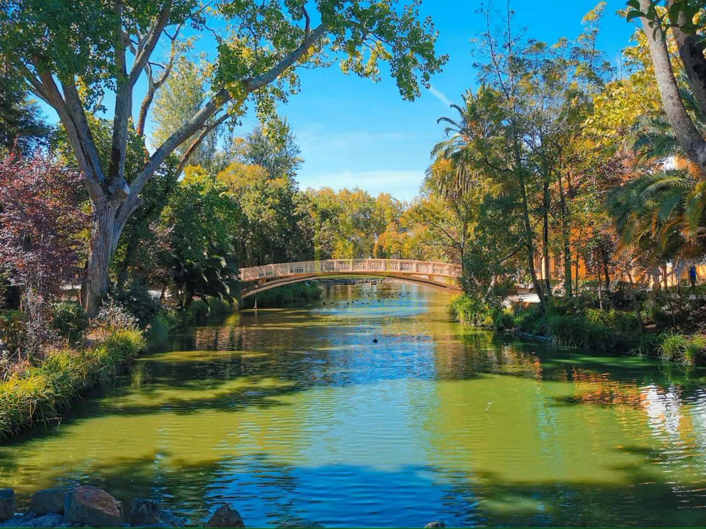 Apartamento T2 - Esgueira, Aveiro, Aveiro - Miniatura: 7/8