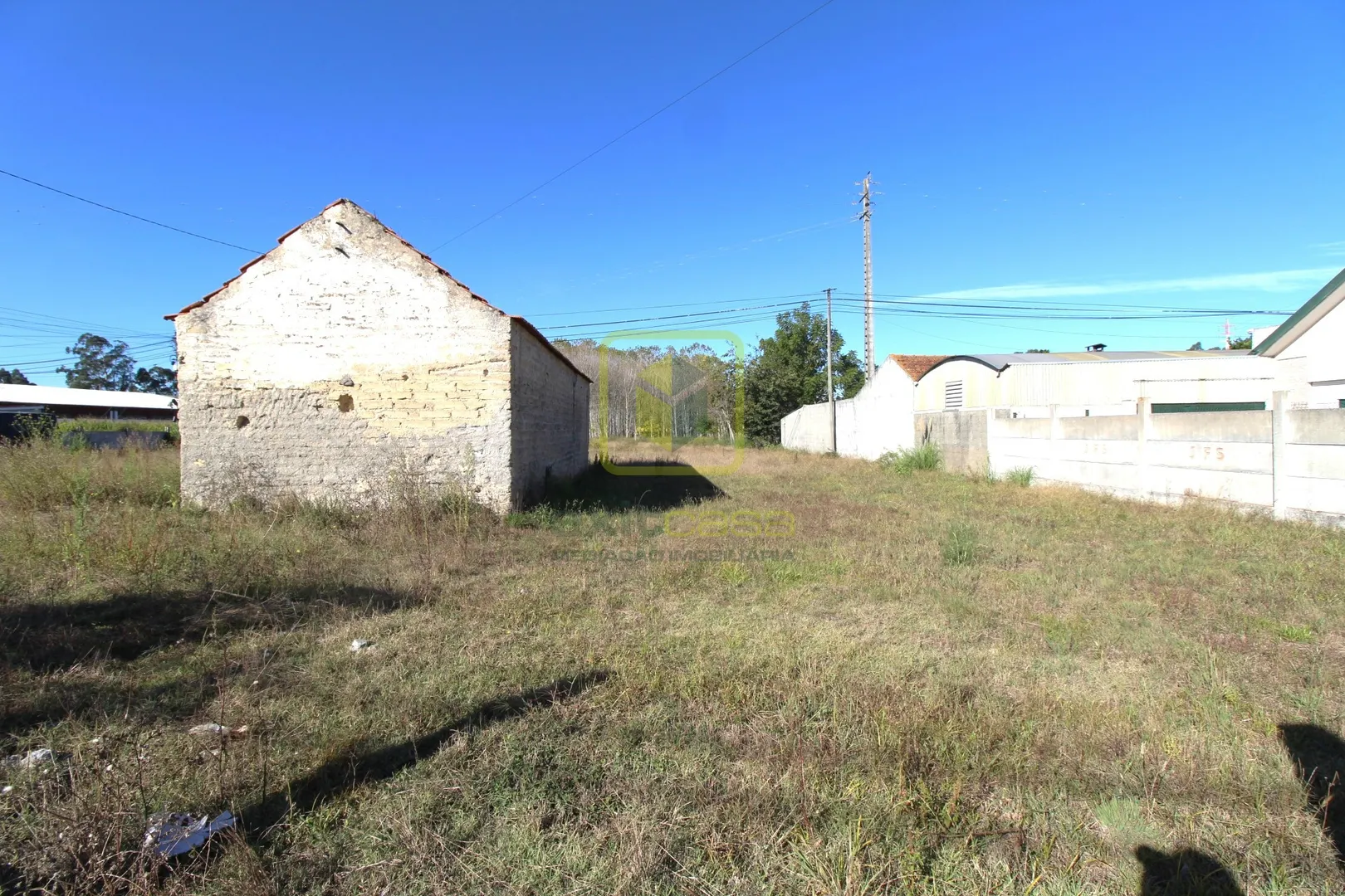 Terreno R�stico T0 - S�sa, Vagos, Aveiro - Miniatura: 1/5