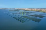 Terreno Urbano T0 - Oliveirinha, Aveiro, Aveiro - Miniatura: 5/6