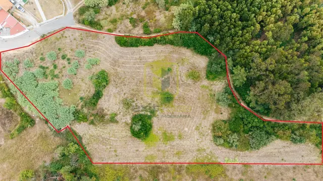Terreno Urbano T0 - Alhadas, Figueira da Foz, Coimbra - Imagem grande