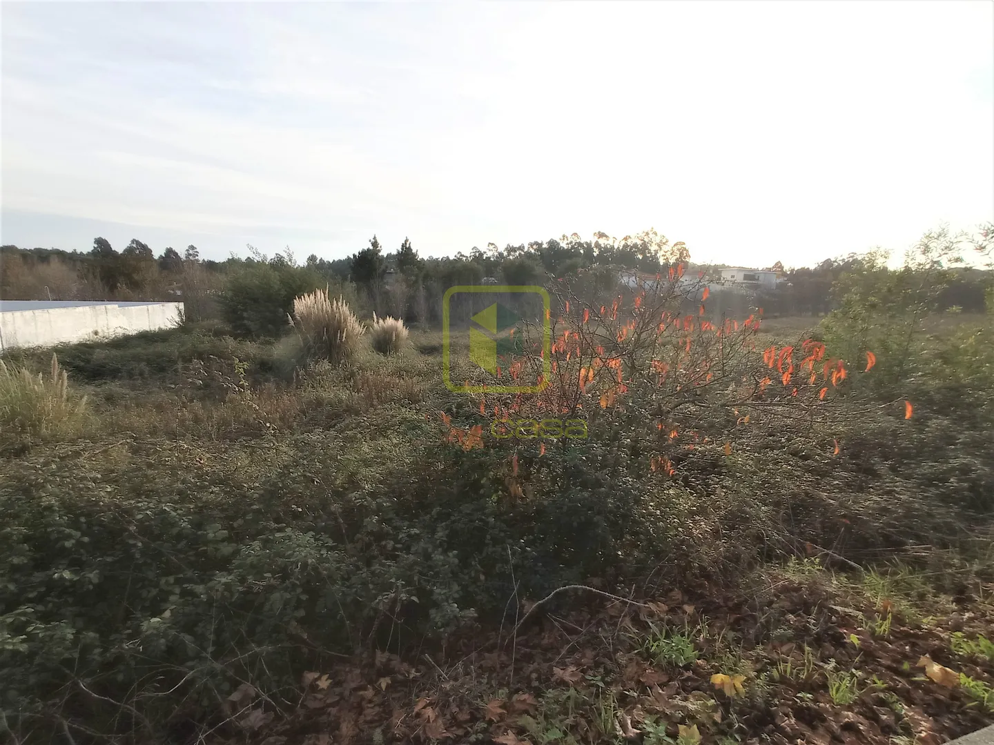Terreno Urbano T0 - Valongo do Vouga, �gueda, Aveiro