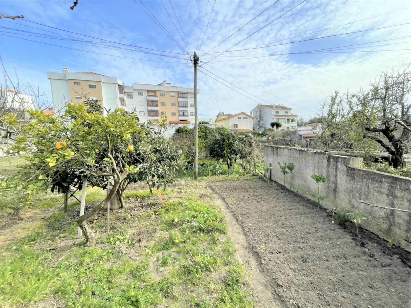 Terreno Urbano T0 - Tavarede, Figueira da Foz, Coimbra - Miniatura: 2/9