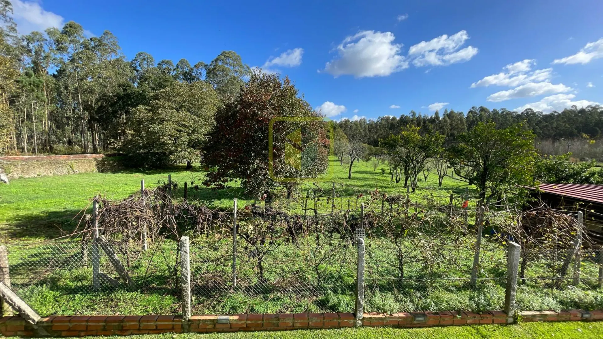 Terreno Rstico T0 - Vlega, Ovar, Aveiro