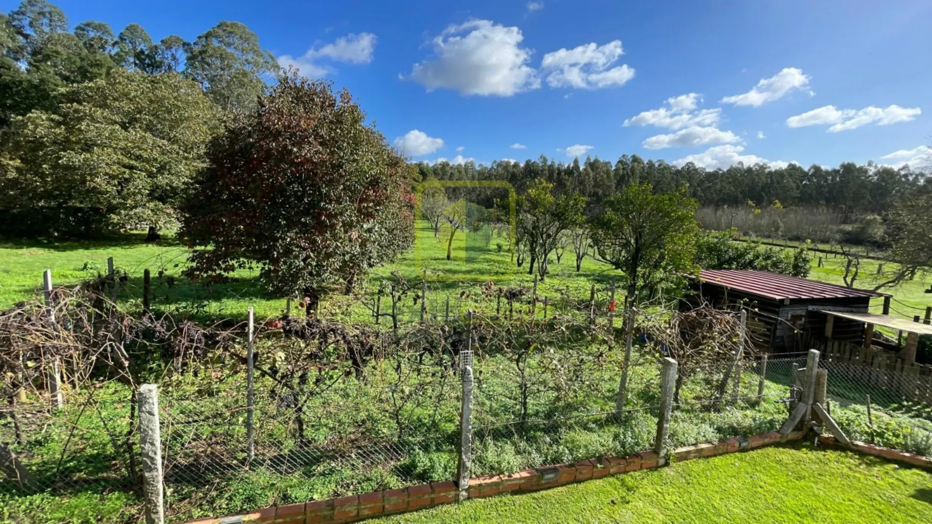 Terreno R�stico T0 - V�lega, Ovar, Aveiro - Miniatura: 1/7