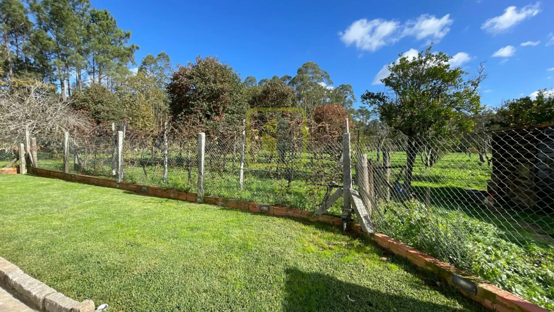 Terreno R�stico T0 - V�lega, Ovar, Aveiro - Miniatura: 2/7