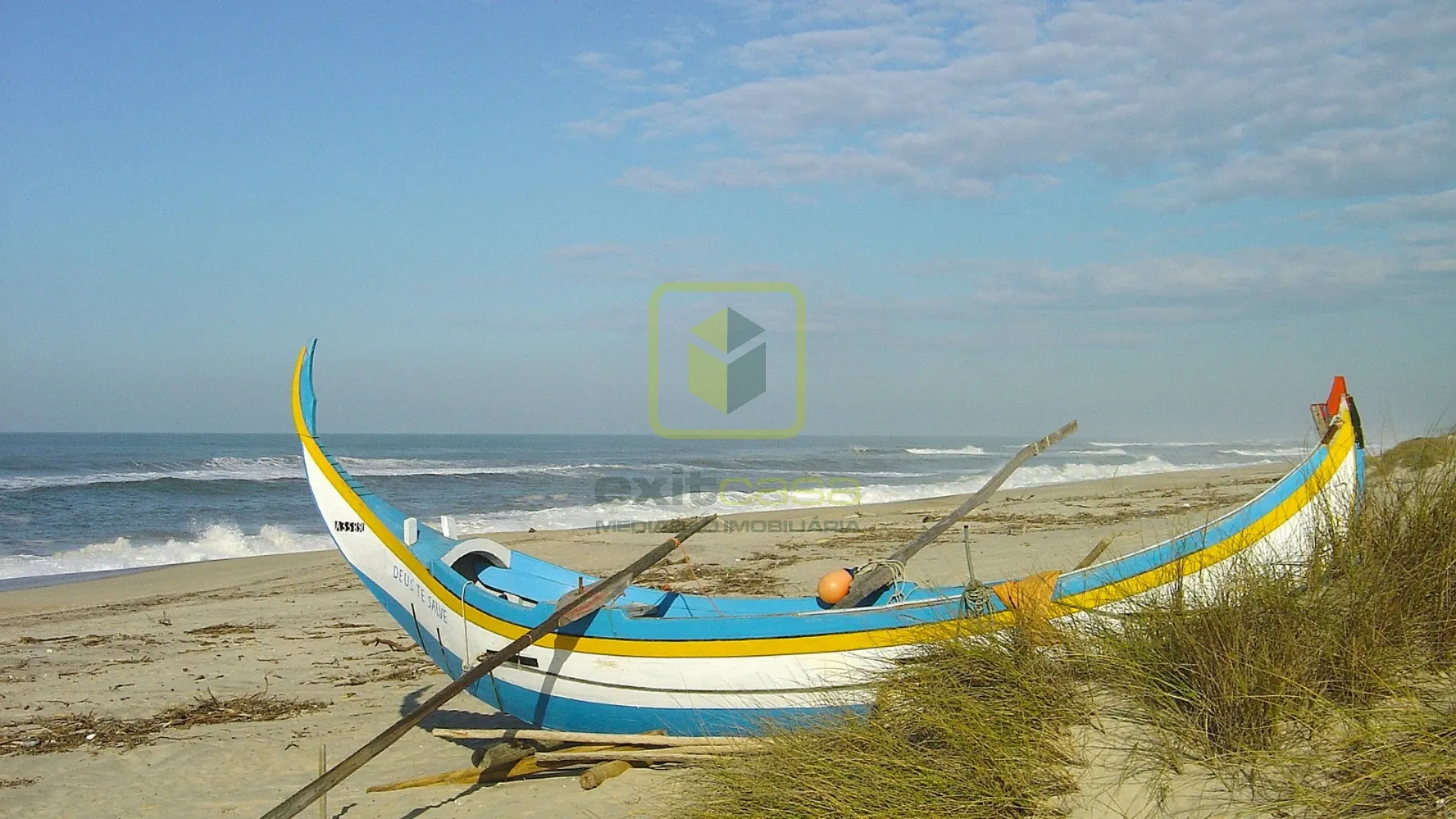 Terreno R�stico T0 - V�lega, Ovar, Aveiro - Miniatura: 6/7