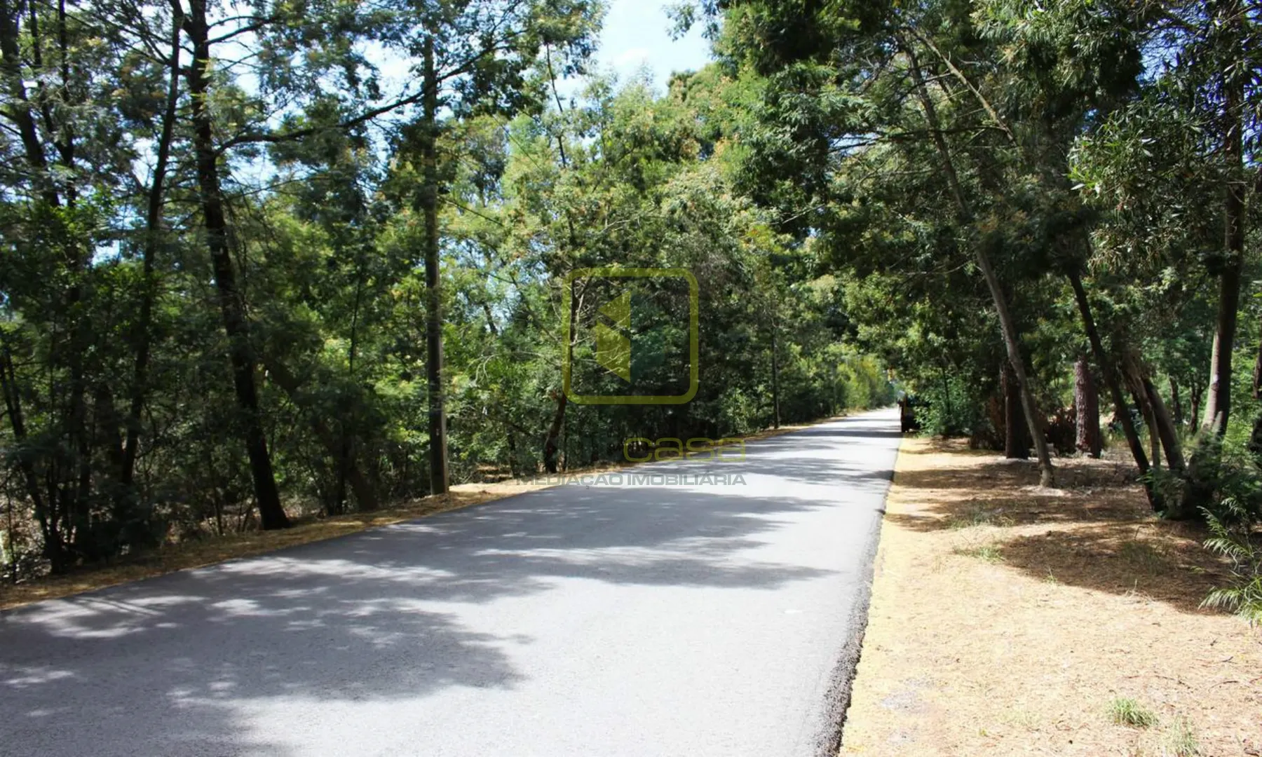 Terreno Urbano T0 - �lhavo, �lhavo, Aveiro - Miniatura: 7/8