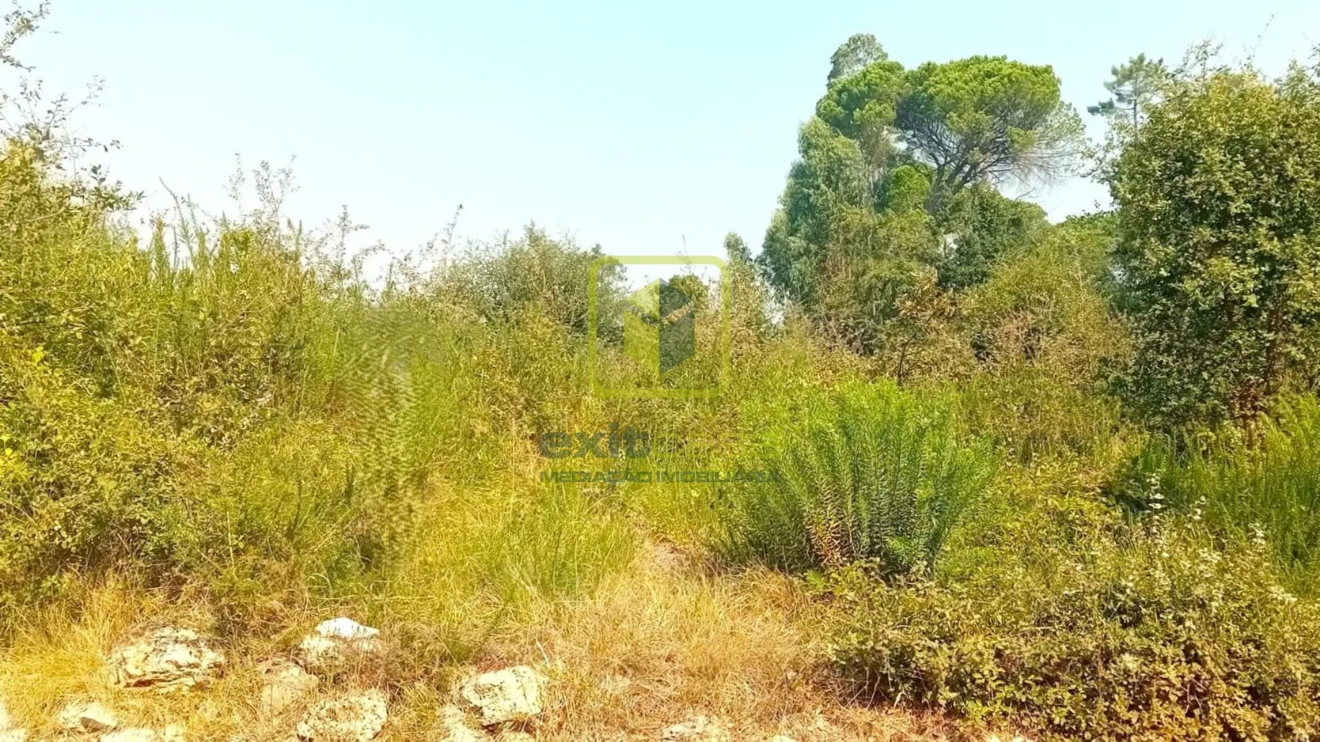 Terreno Urbano T0 - Condeixa-a-Velha, Condeixa-a-Nova, Coimbra - Imagem grande
