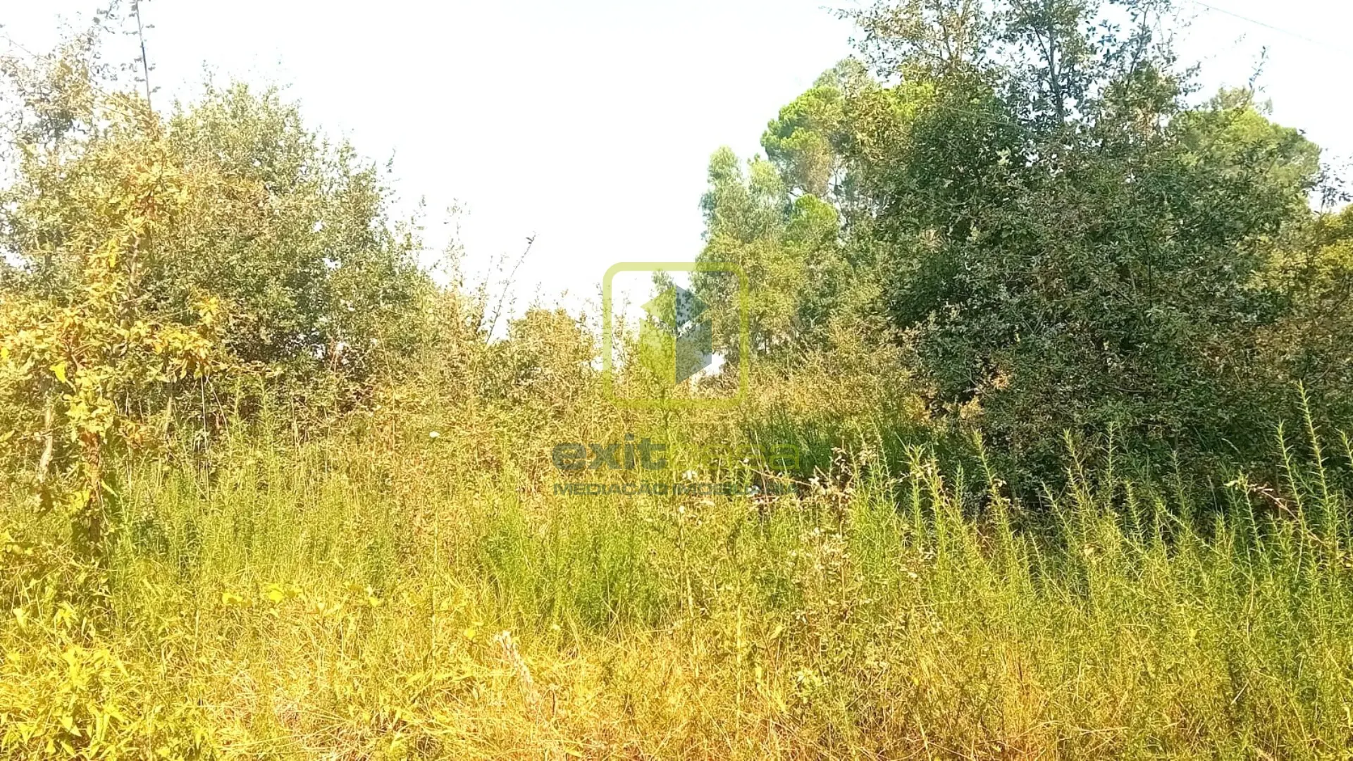 Terreno Urbano T0 - Condeixa-a-Velha, Condeixa-a-Nova, Coimbra - Miniatura: 1/9