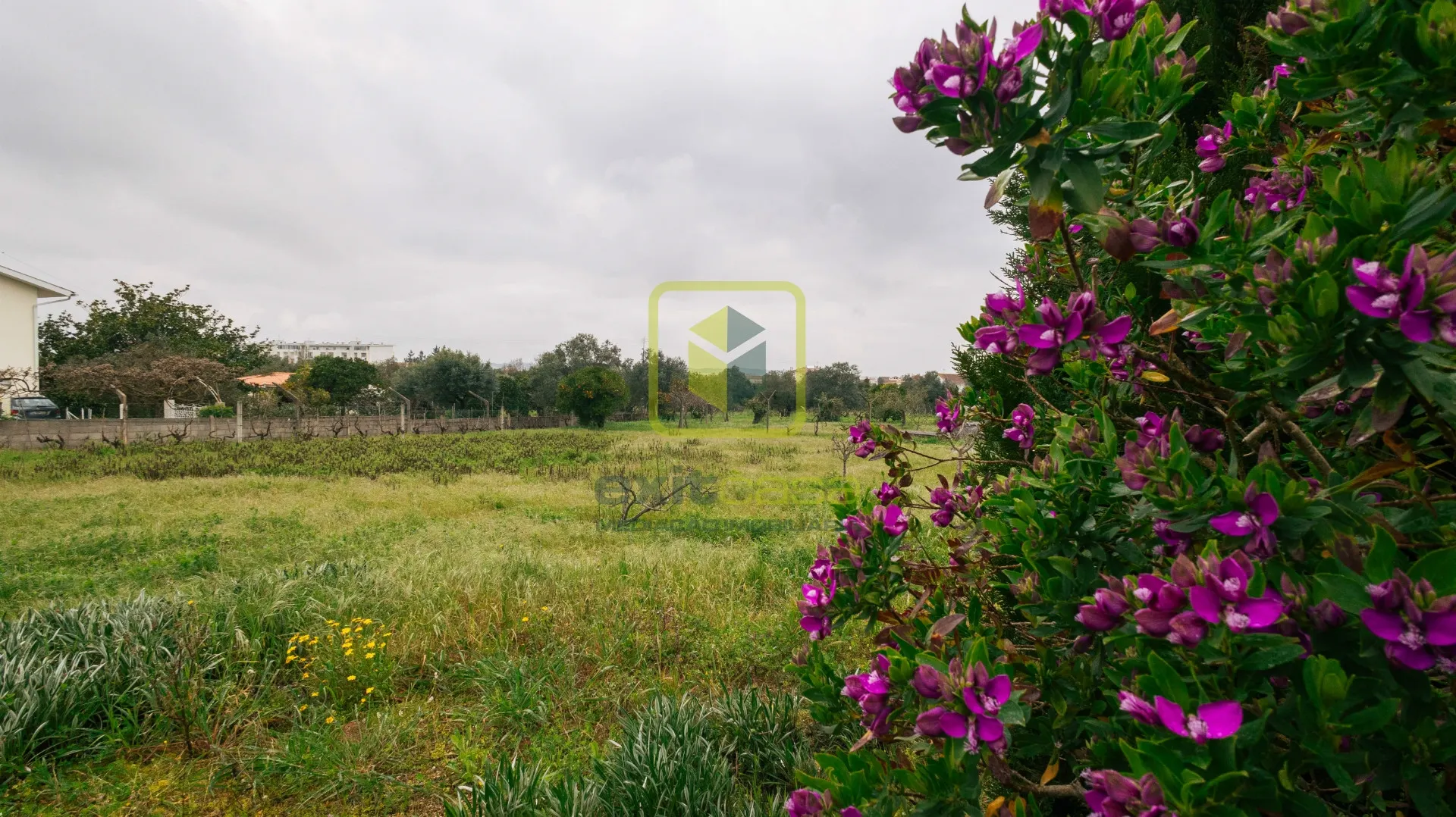 Terreno Urbano T0 - Granja do Ulmeiro, Soure, Coimbra - Miniatura: 6/9