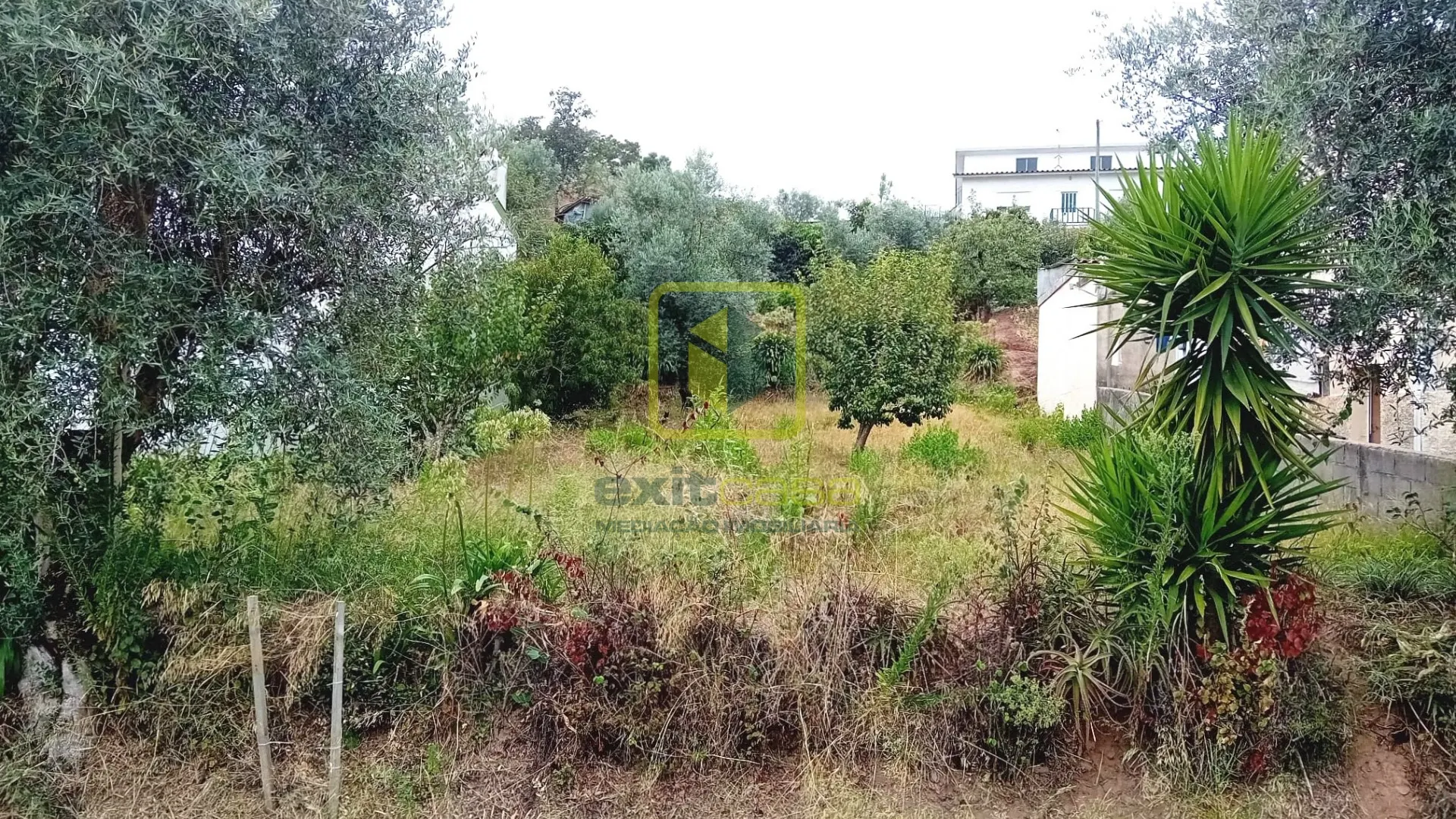 Terreno Urbano T0 - Eiras, Coimbra, Coimbra - Imagem grande