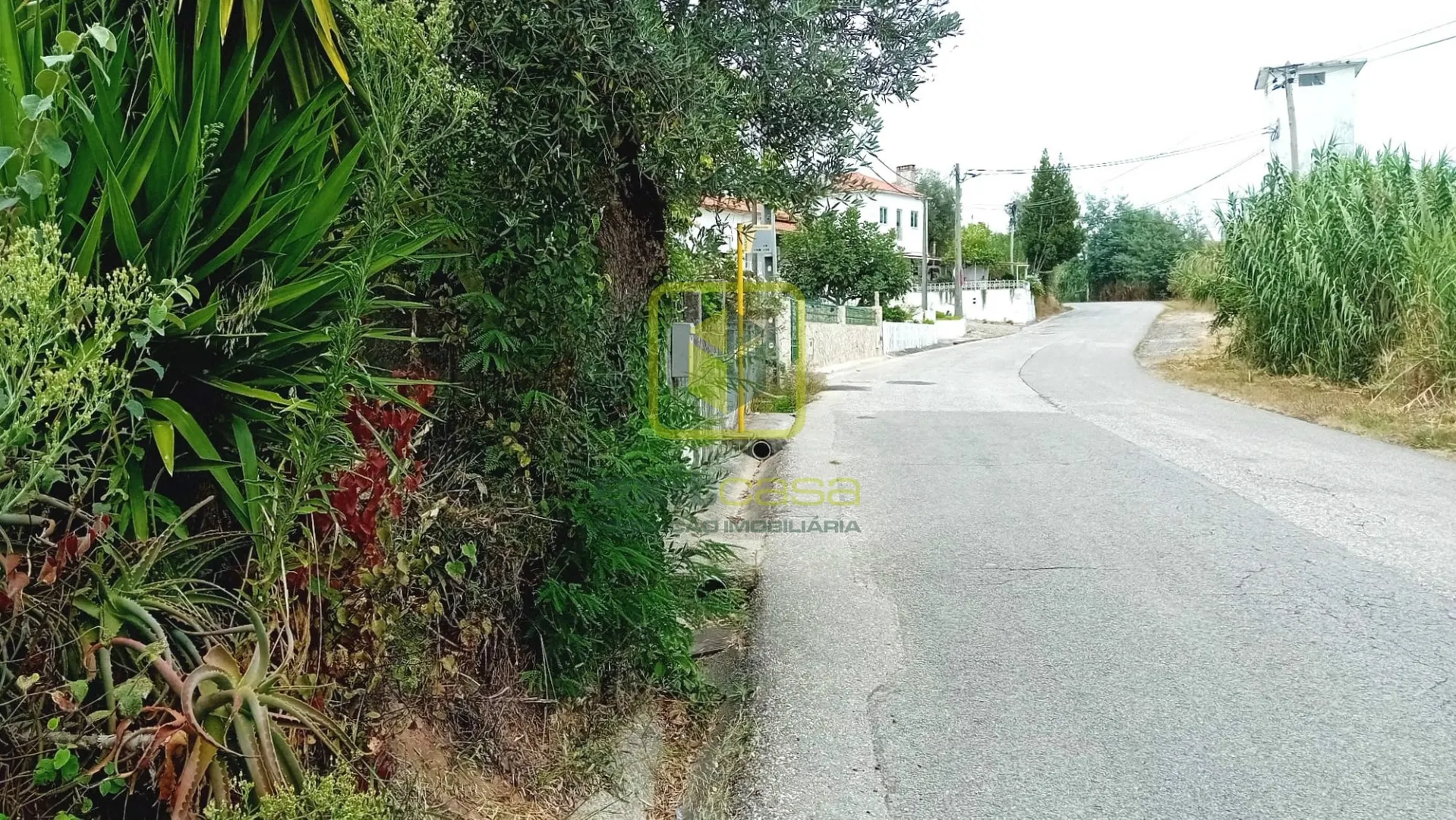 Terreno Urbano T0 - Eiras, Coimbra, Coimbra - Miniatura: 1/9