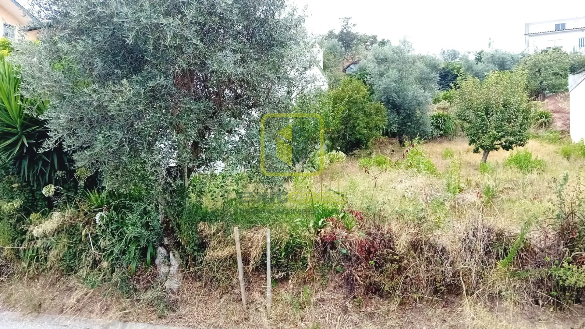 Terreno Urbano T0 - Eiras, Coimbra, Coimbra - Miniatura: 2/9