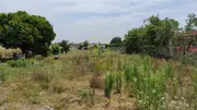 Terreno Urbano T0 - Eixo, Aveiro, Aveiro