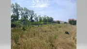 Terreno Urbano T0 - Eixo, Aveiro, Aveiro - Miniatura: 5/9