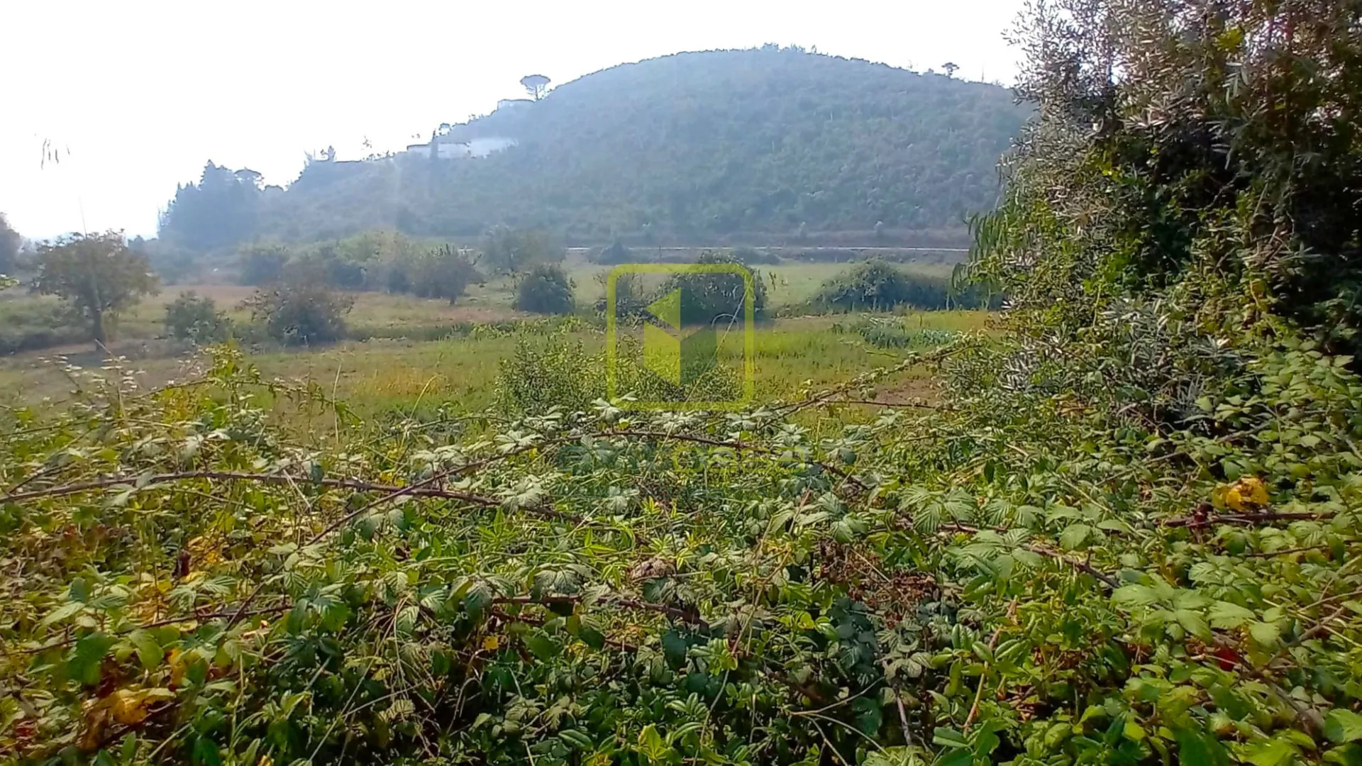 Terreno R�stico T0 - Condeixa-a-Velha, Condeixa-a-Nova, Coimbra - Miniatura: 5/9