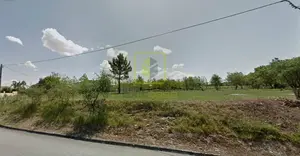 Terreno R�stico T0 - Cantanhede, Cantanhede, Coimbra