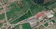 Terreno R�stico T0 - Cantanhede, Cantanhede, Coimbra - Miniatura: 4/8