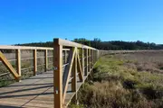 Loja T0 - Vagos, Vagos, Aveiro - Miniatura: 5/5