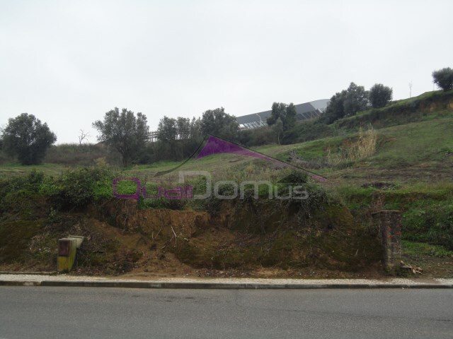 Terreno Urbano - Torres Novas, Torres Novas, Santar�m - Imagem grande