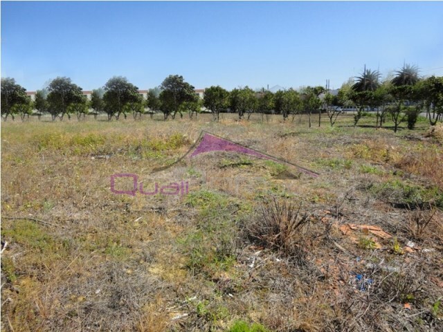 Terreno Urbano - Riachos, Torres Novas, Santar�m - Imagem grande