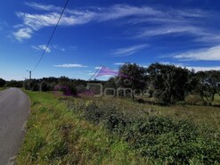 Terreno R�stico - Olaia, Torres Novas, Santar�m