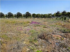 Terreno Urbano - Riachos, Torres Novas, Santar�m