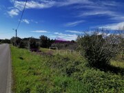 Terreno R�stico - Olaia, Torres Novas, Santar�m - Miniatura: 1/3