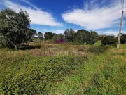 Terreno R�stico - Olaia, Torres Novas, Santar�m - Miniatura: 2/3