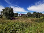 Terreno R�stico - Olaia, Torres Novas, Santar�m - Miniatura: 3/3