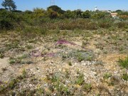 Terreno R�stico - Santa Margarida da Coutada, Const�ncia, Santar�m - Miniatura: 1/2