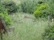 Terreno Rstico - Nossa Senhora de Ftima, Entroncamento, Santarm - Miniatura: 6/9