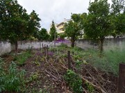 Moradia - Nossa Senhora de Ftima, Entroncamento, Santarm - Miniatura: 9/9