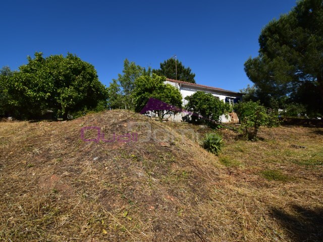 Moradia T1 - Santa Margarida da Coutada, Constncia, Santarm - Imagem grande