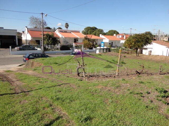 Terreno Urbano - Riachos, Torres Novas, Santar�m - Imagem grande