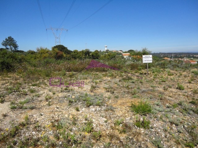 Terreno R�stico - Santa Margarida da Coutada, Const�ncia, Santar�m - Imagem grande